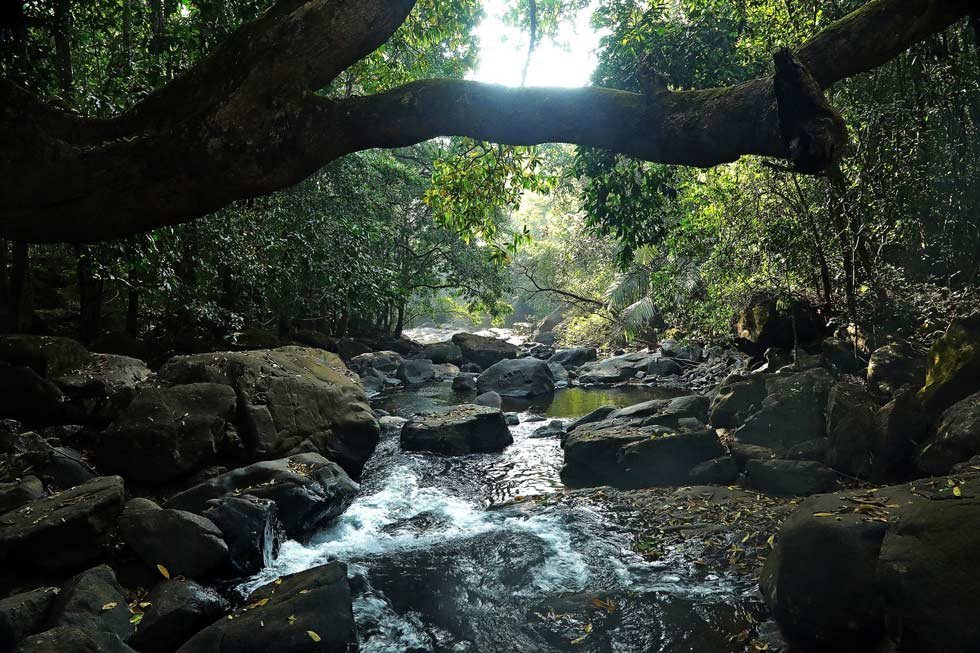 Bhagwan Mahaveer Sanctuary and Mollem National Park.